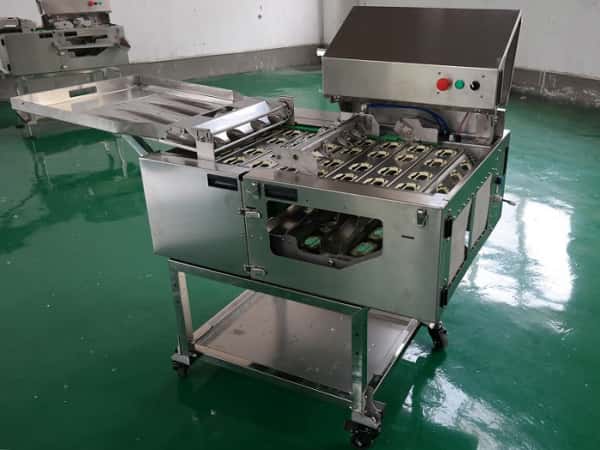 蛋類加工產業中的敲蛋機應用